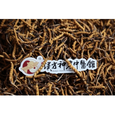 哪些人適合吃冬蟲夏草，這幾類人要注意！