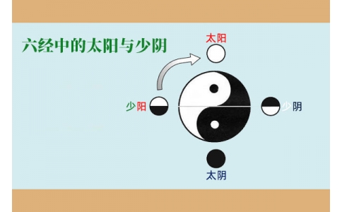 中醫(yī)基礎—六經(jīng)中的太陽與少陰含義！