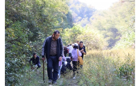 踏秋尋寶，聞香識(shí)藥！首屆神農(nóng)杯野外識(shí)藥大賽在株洲鳳凰山景區(qū)成功舉辦！